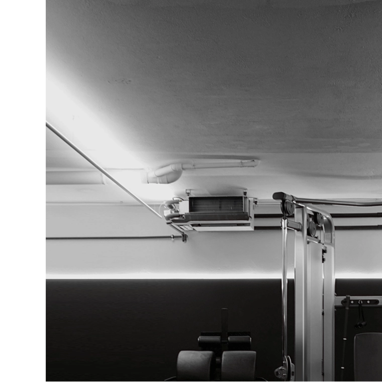 Salud y conocimiento