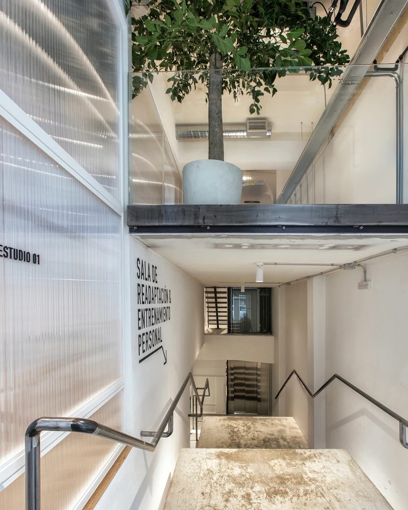 Proyecto Way club - Goc